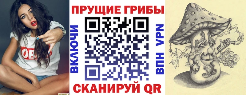 Псилоцибиновые грибы прущие грибы  купить  цена  Чистополь 