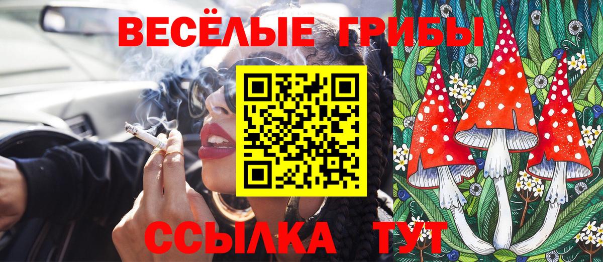 Галлюциногенные грибы мухоморы Чистополь